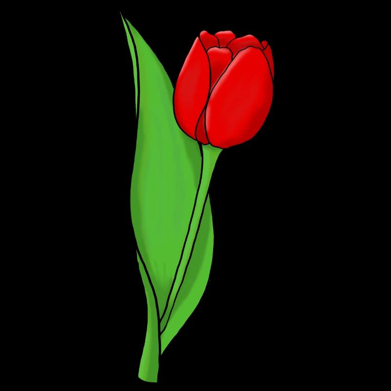 Tulipe rouge