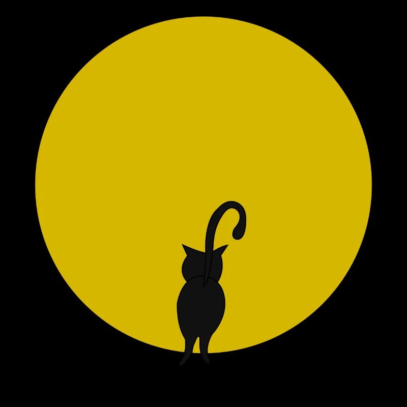 Un chat et le soleil
