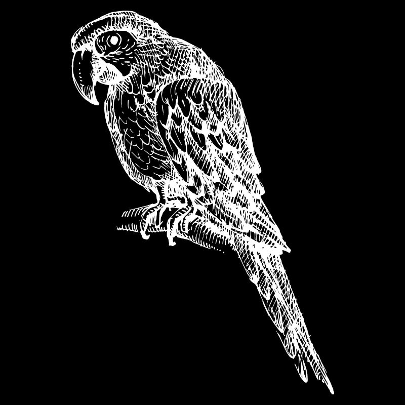 Parrot Tropical Exotic