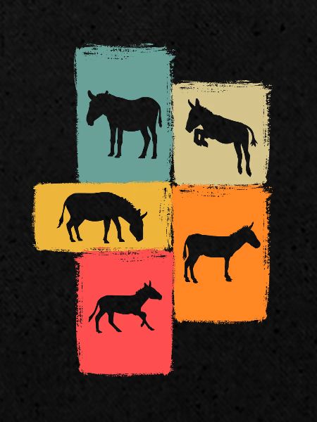 Donkey