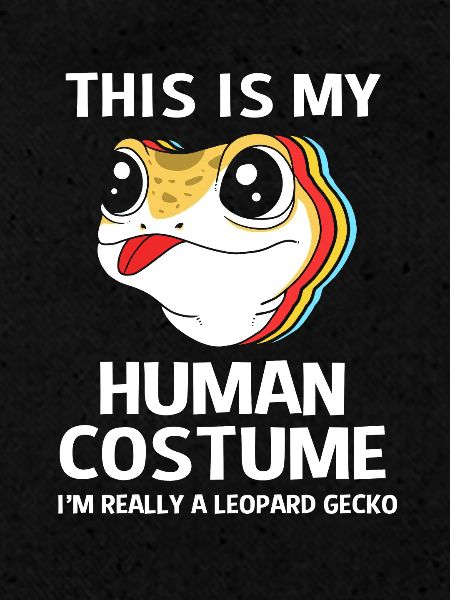 Gecko léopard
