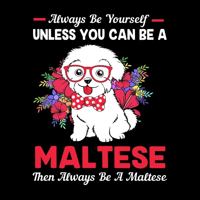 Maltese Dog