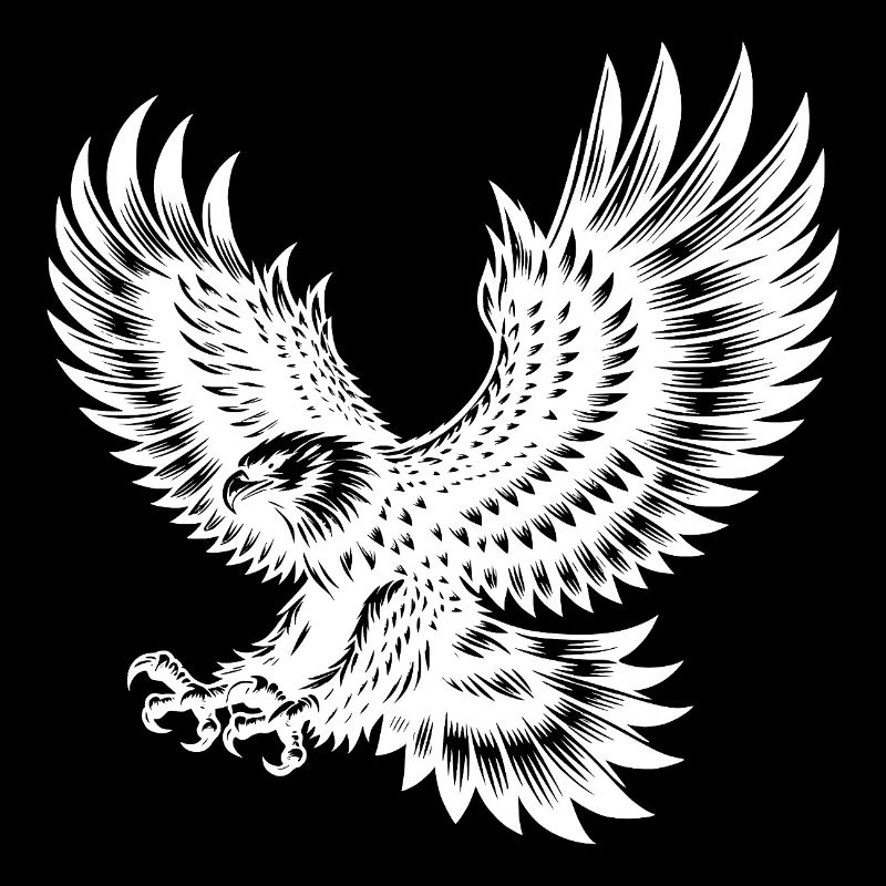 Powerful hunting eagle with sharp claws