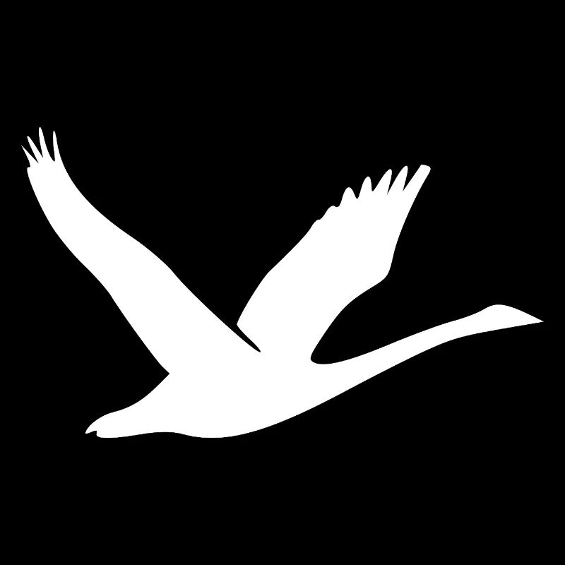 Schöne Schwan Silhouette