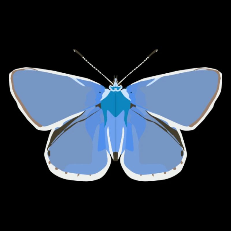 Papillons : Le bleu commun