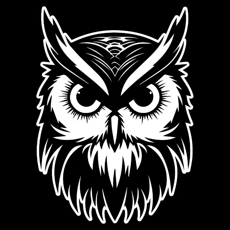 Eule Eulen Vogel Vögel