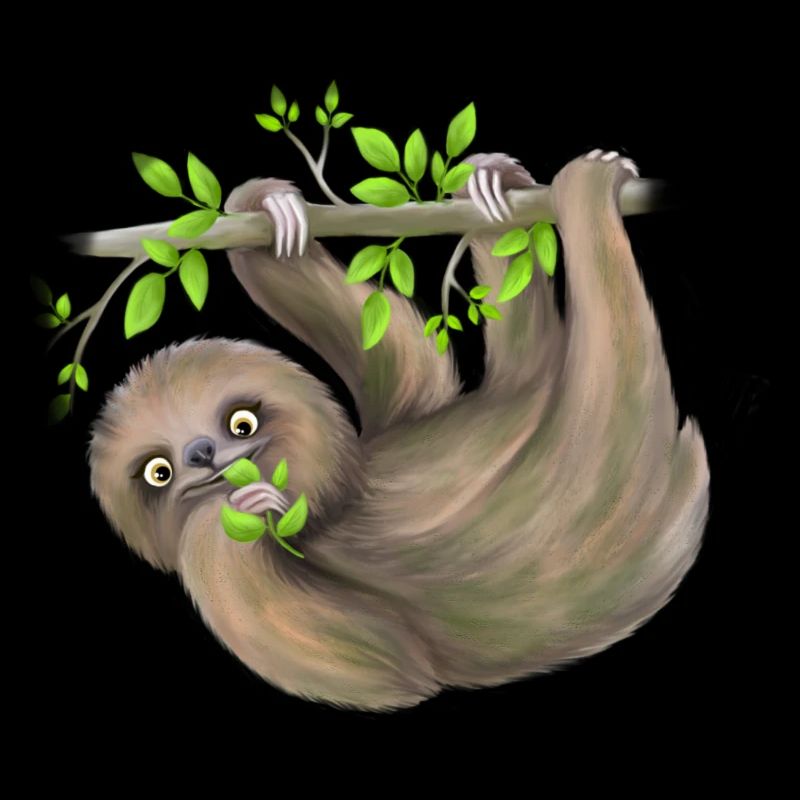 Sloth chills on branch and eats leaves