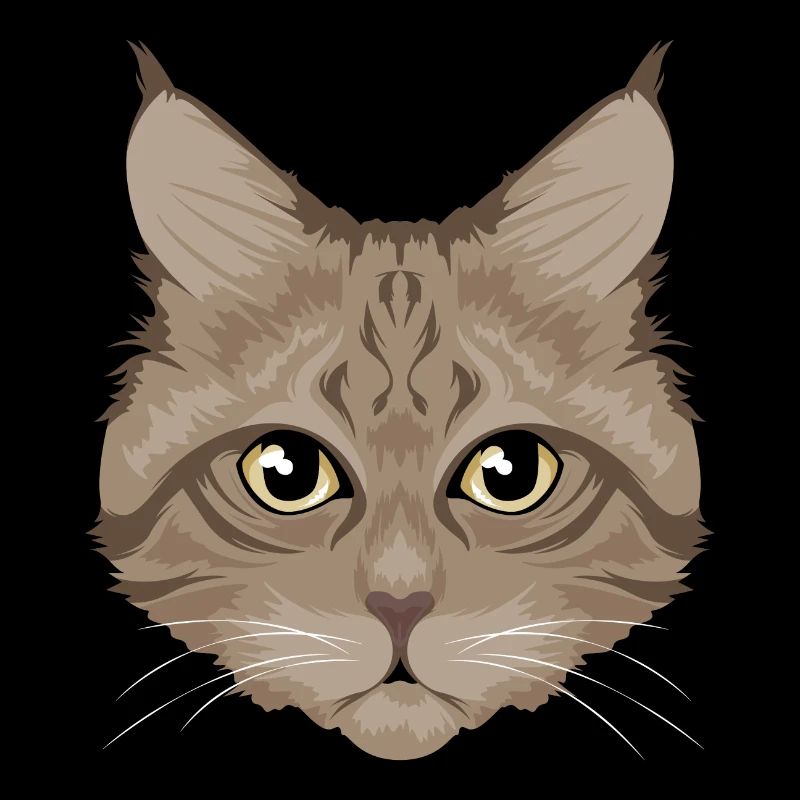 Chat / chat brun