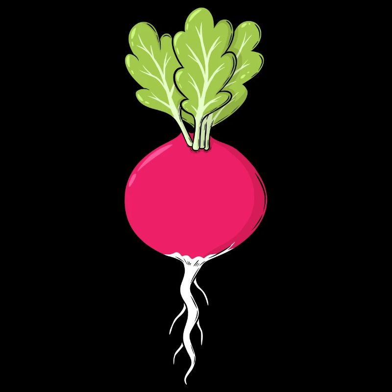 Rotes Radies mit Blättern Gemüse Radieschen