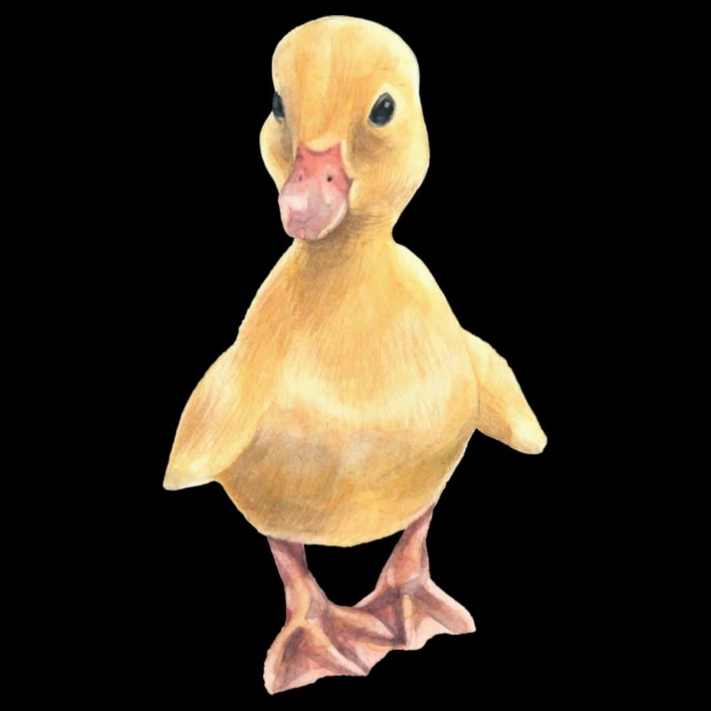 Poussin