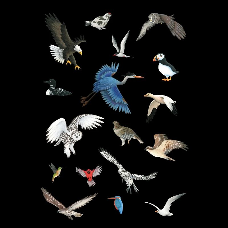 Birds