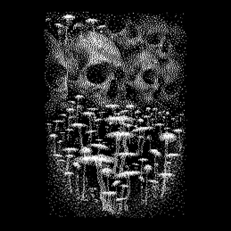 Empire de la Mort - Crânes et champignons