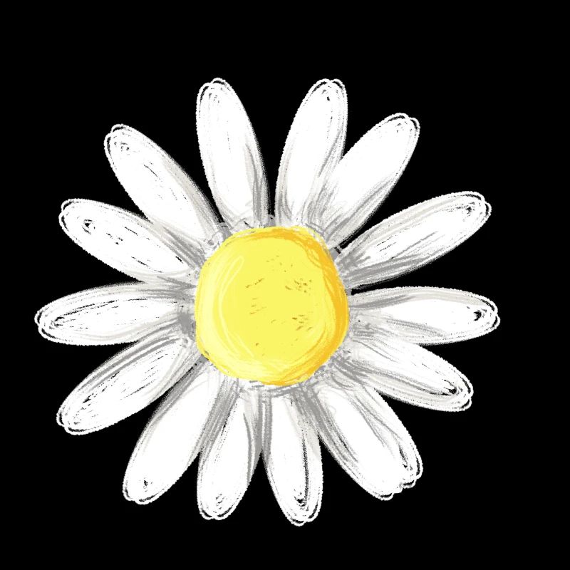 Marguerite