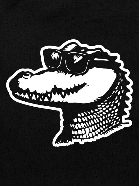Crocodile Alligator