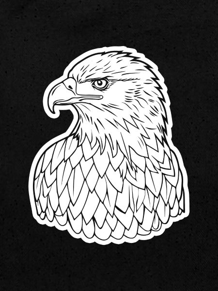 Aigle Tête d’aigle