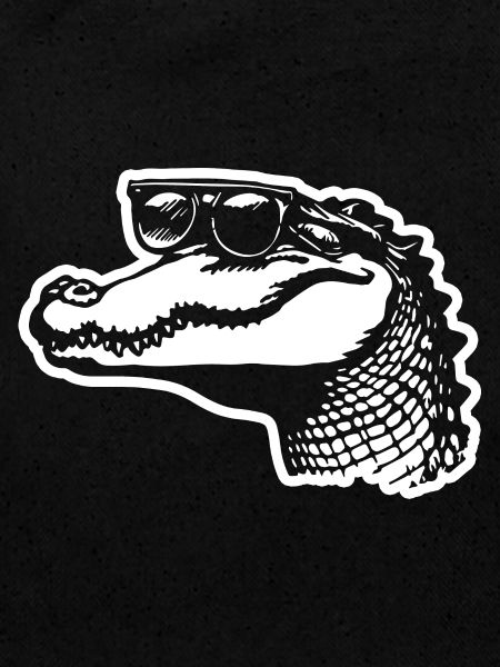 Crocodile Alligator