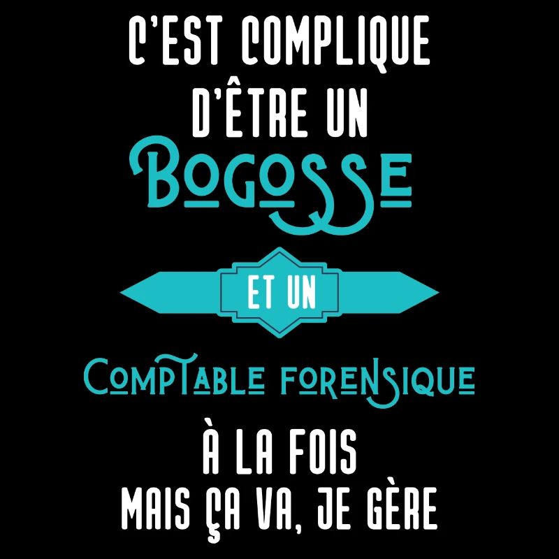 C'est compliqué d'être Bogosse Comptable