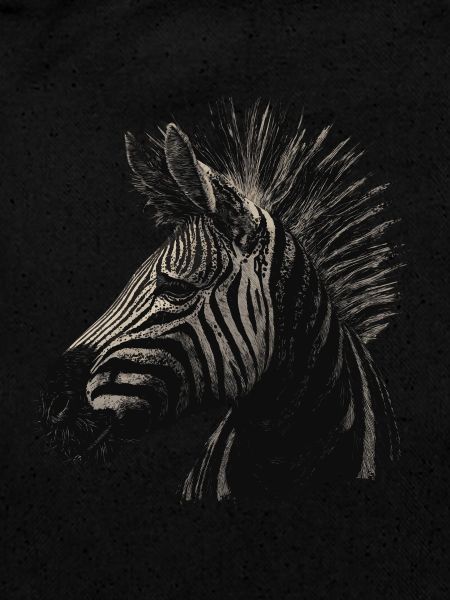 Zebra Punk