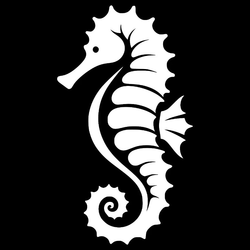 Süsses Kleines Seepferdchen