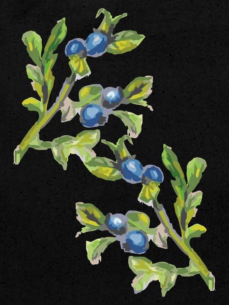 Branche de myrtille