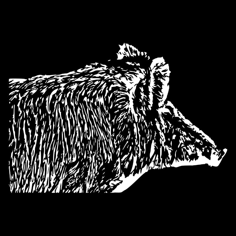 Wild boar Wild boar Pig Sow Pigs