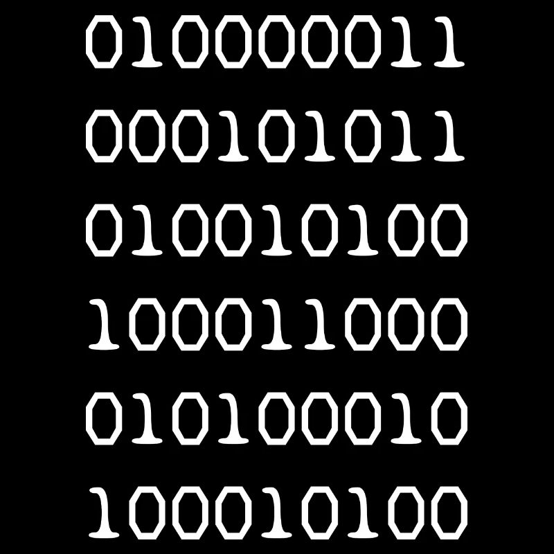 Binary code white web developer humor funny