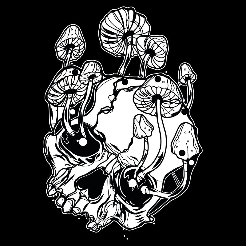 Champignons magiques // Crânes // Illustration