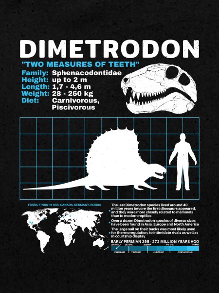 Fiche technique Dimetrodon