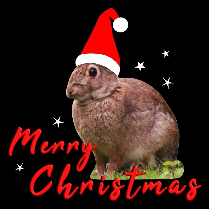 Joyeux Noël Lapin