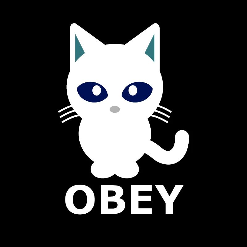 Chat chat obéissent à l’amusement Obey maîtresse