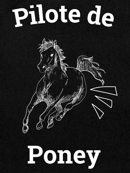 Pony-Pilot