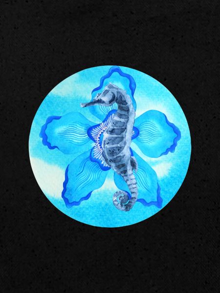 océan, hippocampe