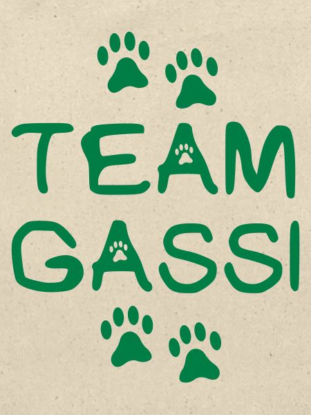 team gassi