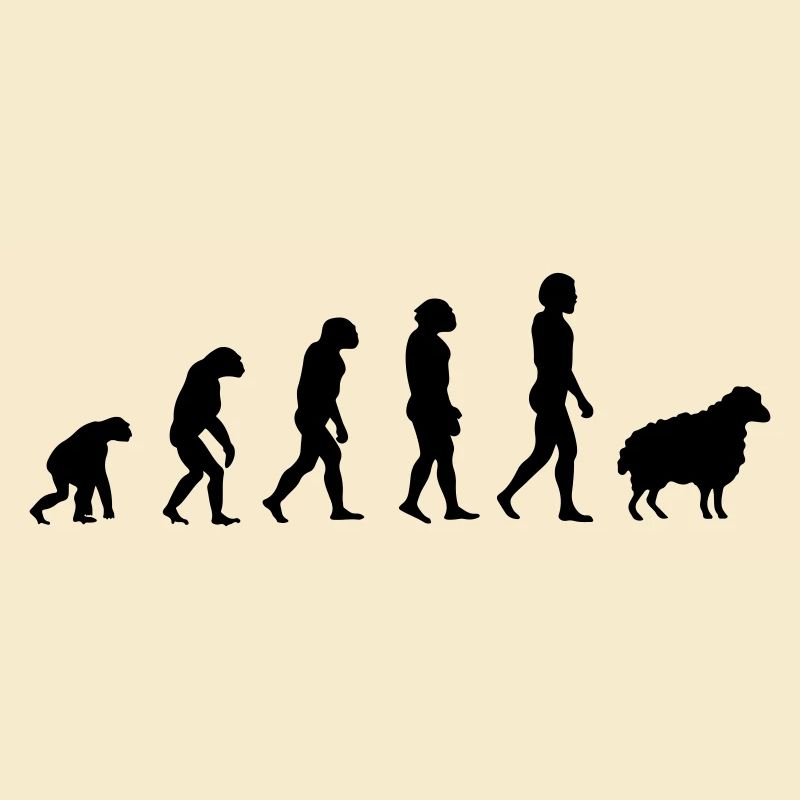 Darwin Sheep