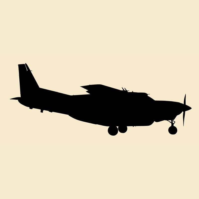 Avion