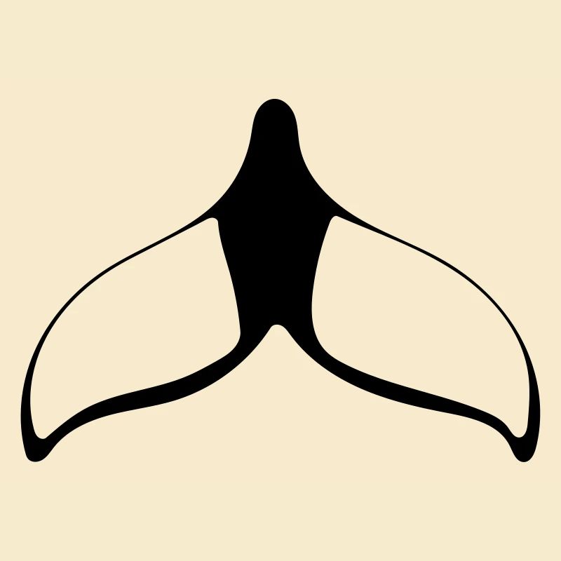fin