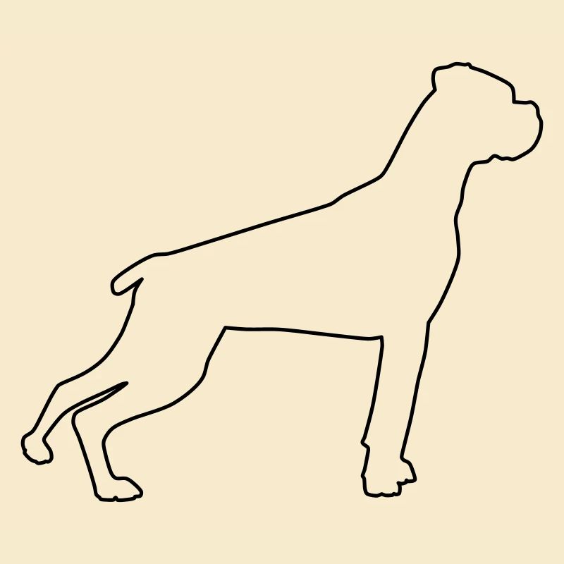 Contours de boxer 1
