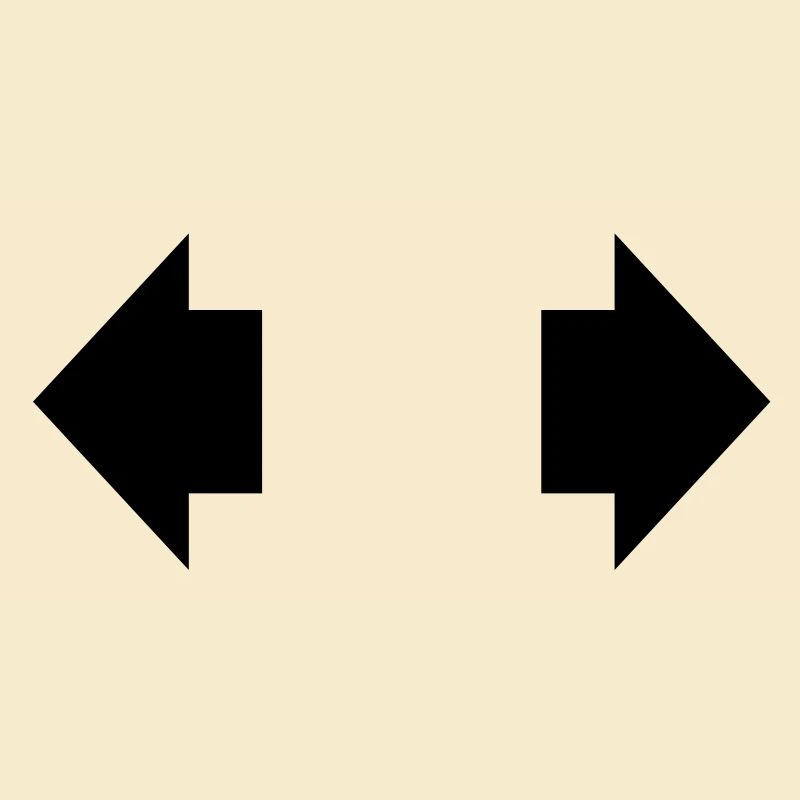arrow left right