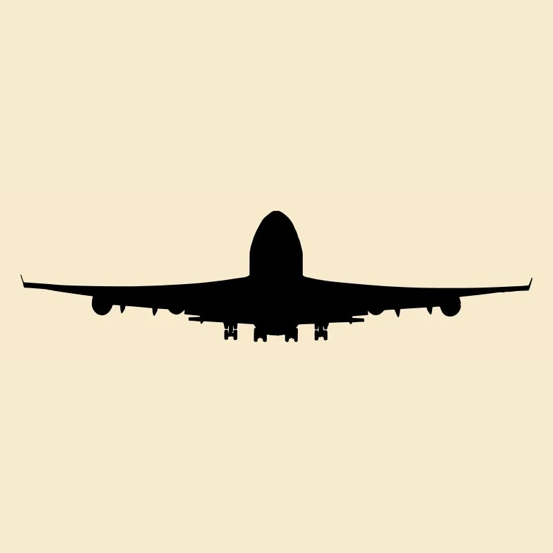 Flugzeug