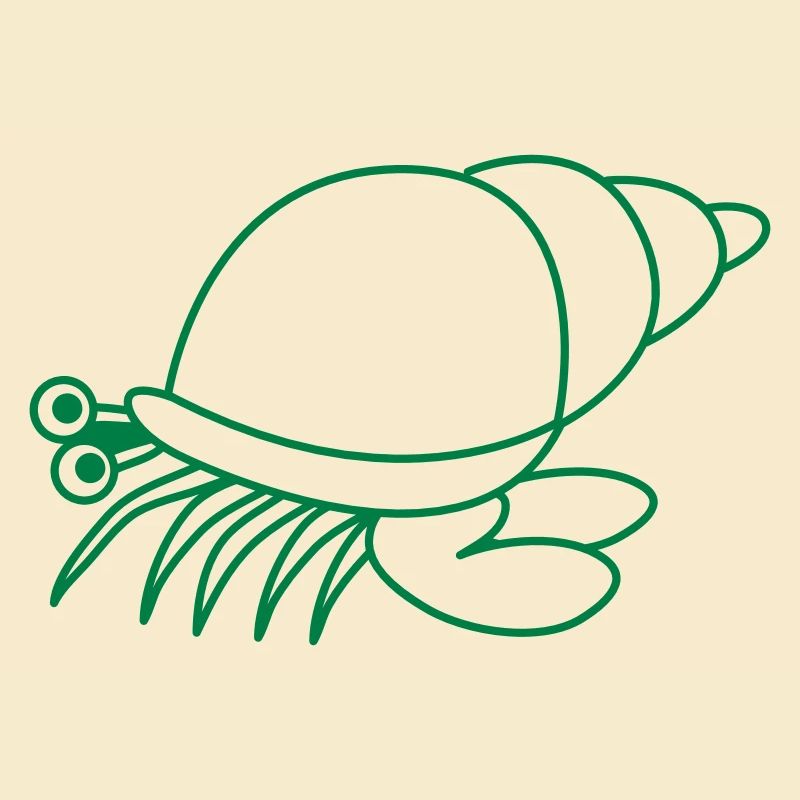 hermit crab