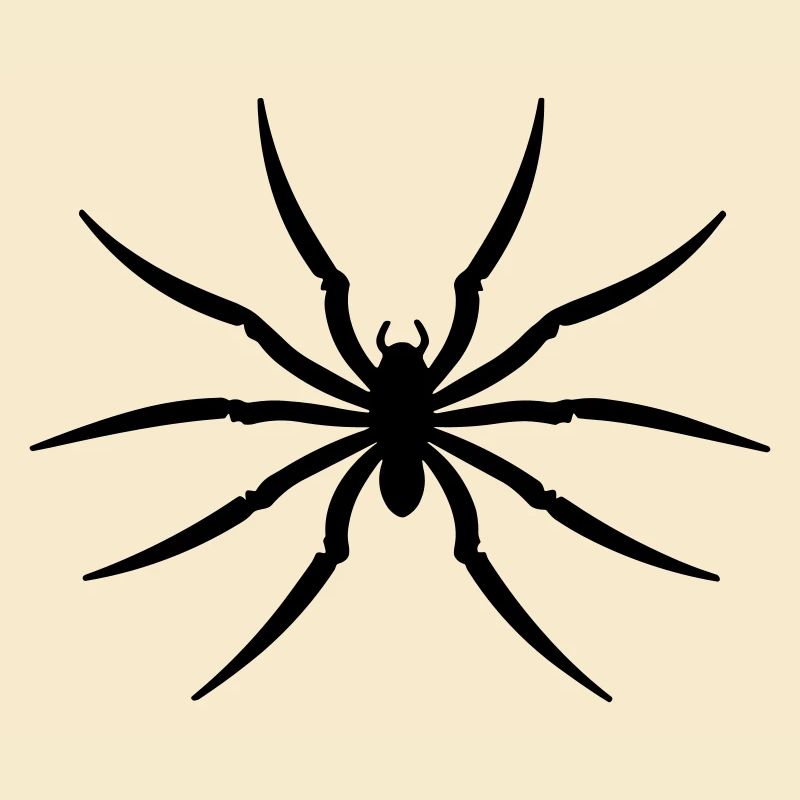 araignée