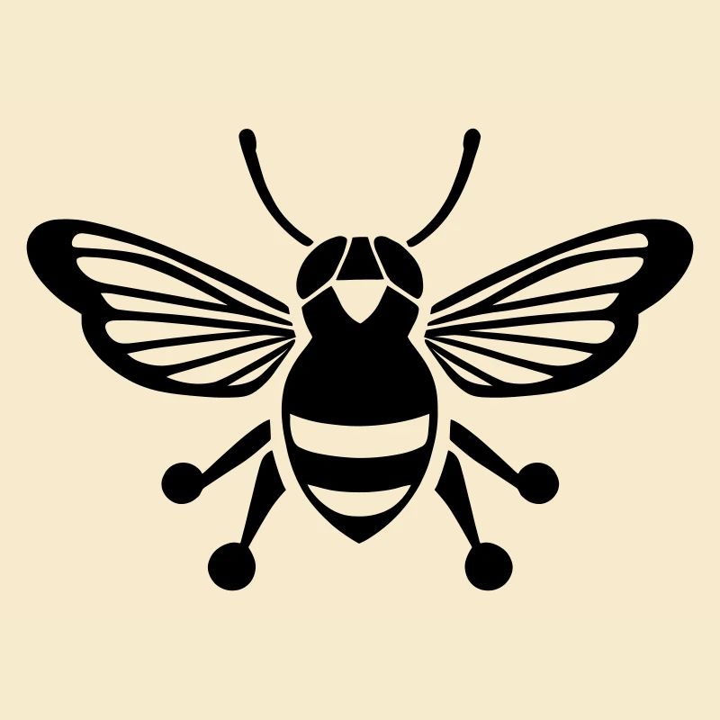 Zikade