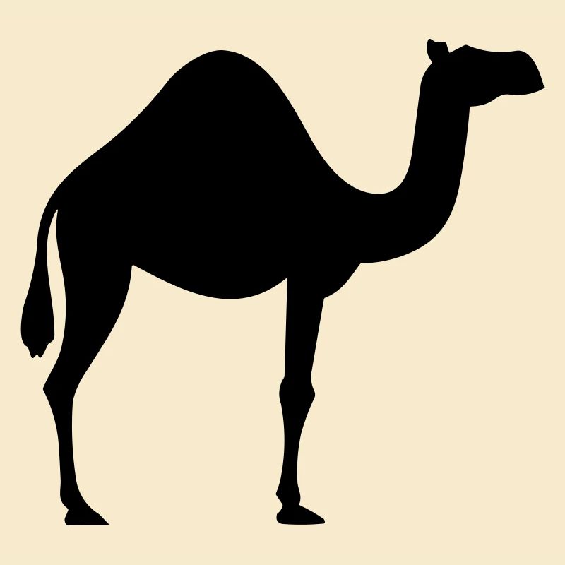 Kamel