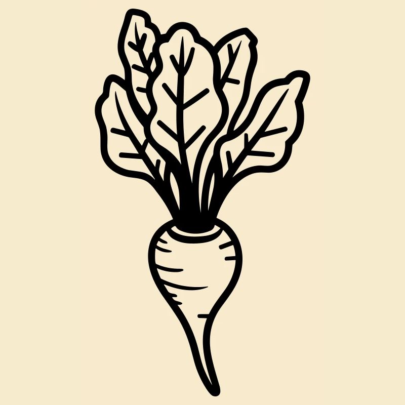Beet