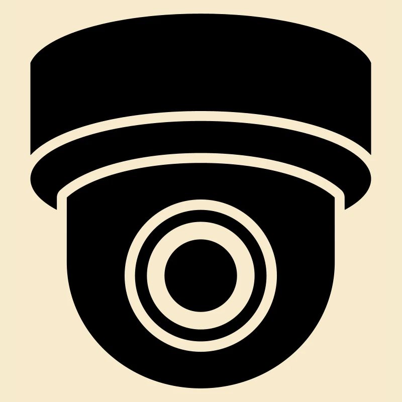 Security cameras in use symbol icon. Fixed CCTV