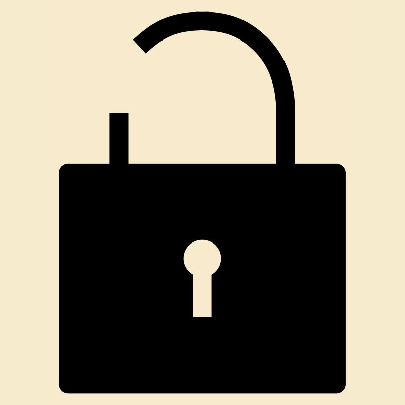 No security no security open lock lock