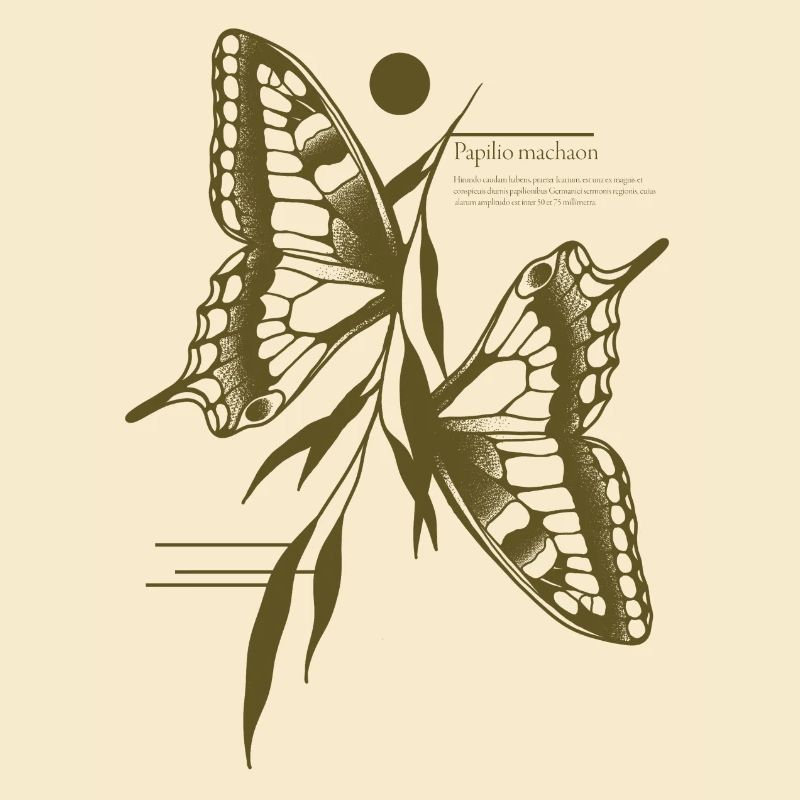 Papillon à queue d’aronde - Variante