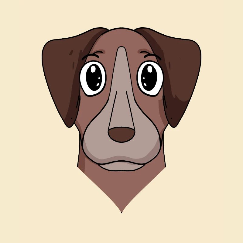 Pointer Hund Hunderasse