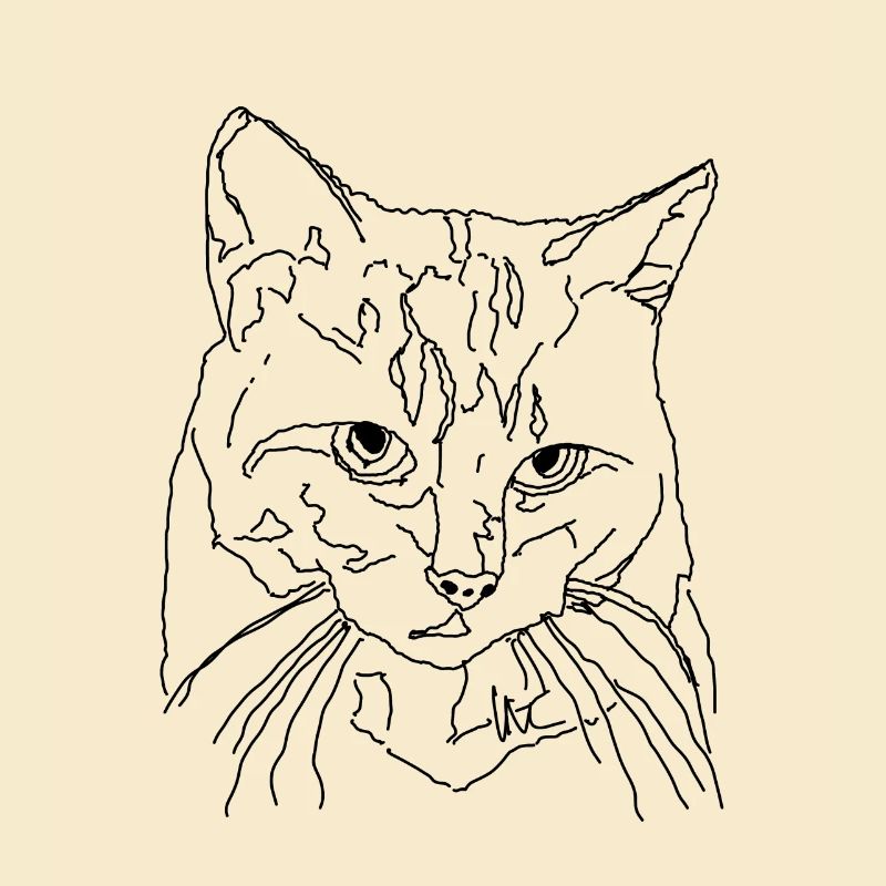 Chat