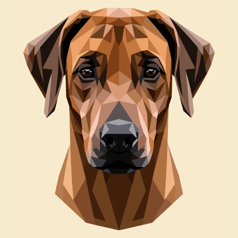 Rhodesian Ridgeback Jagdhund Hunde Stolz Ridgeback